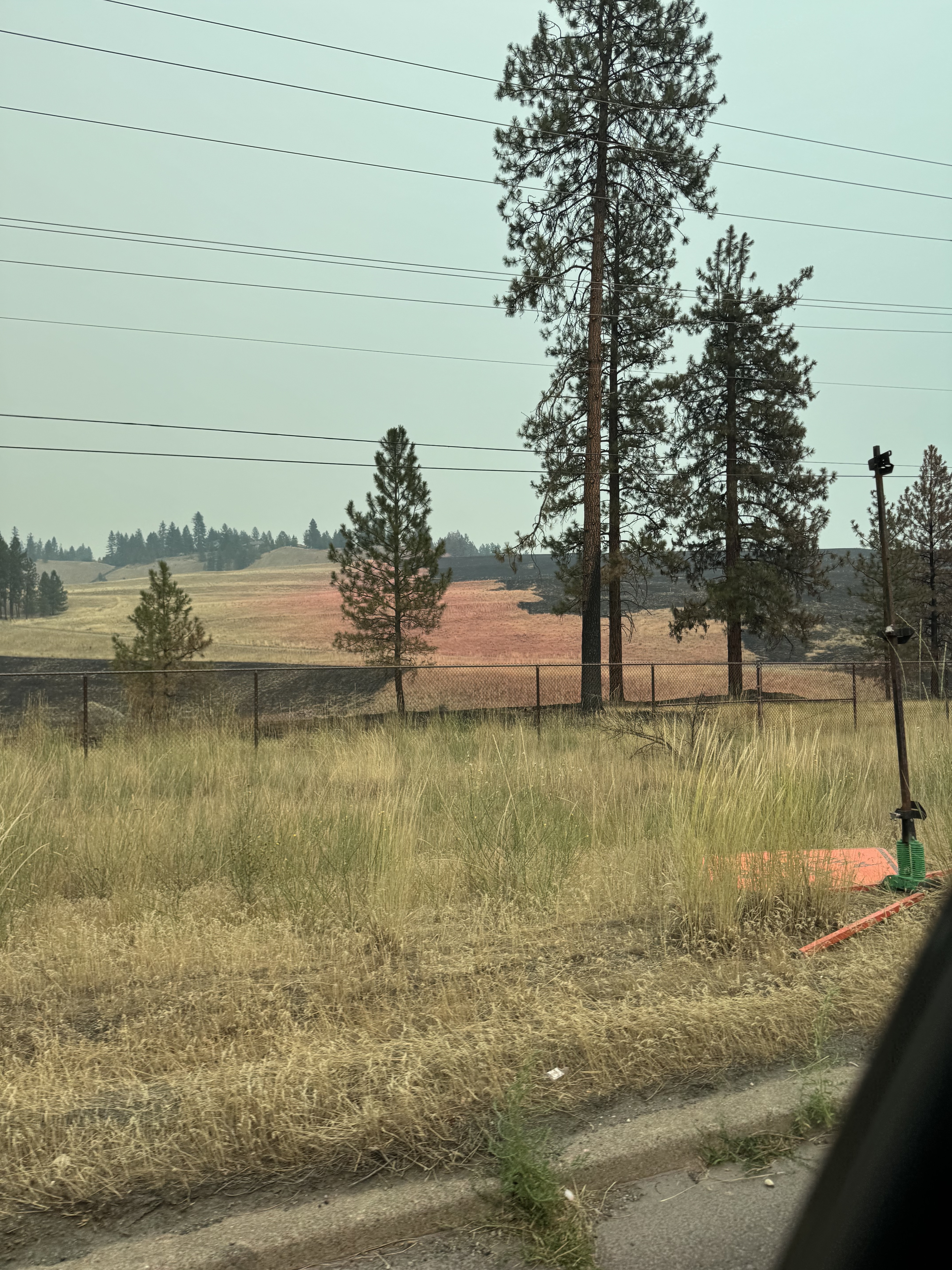 Spokane City Council Approves Emergency Declaration for Fires